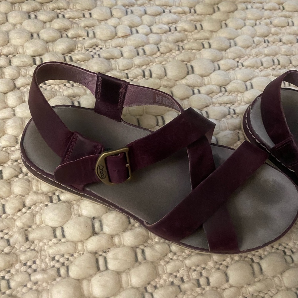 Chaco Wayfarer Sandal